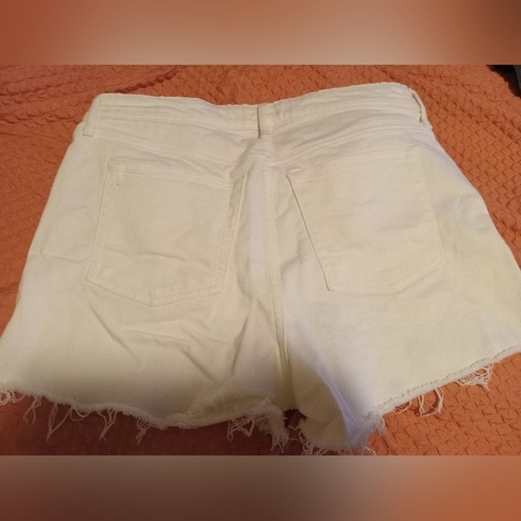 Denim Shorts Bundle - Picture 15 of 16